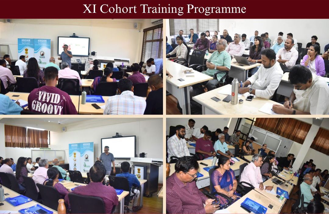 11-cohort-tp-4
